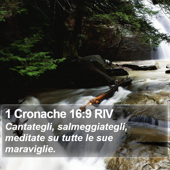 1 Cronache 16:9 RIV Bible Study