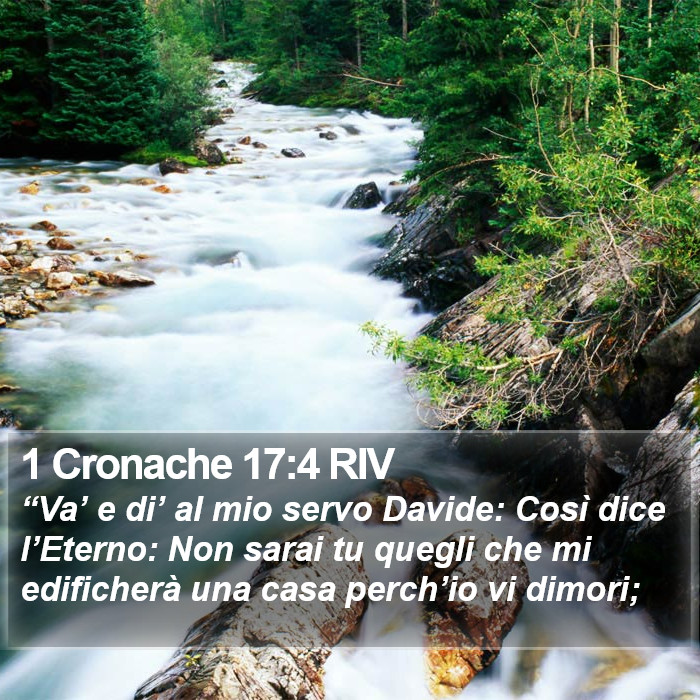 1 Cronache 17:4 RIV Bible Study