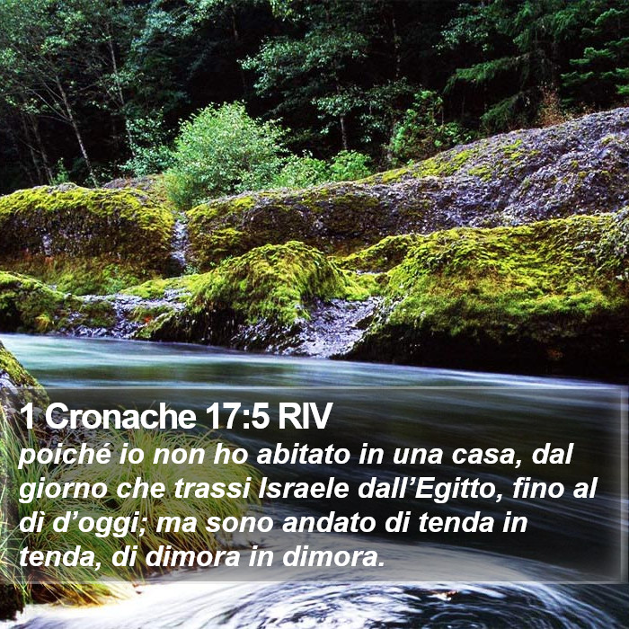 1 Cronache 17:5 RIV Bible Study