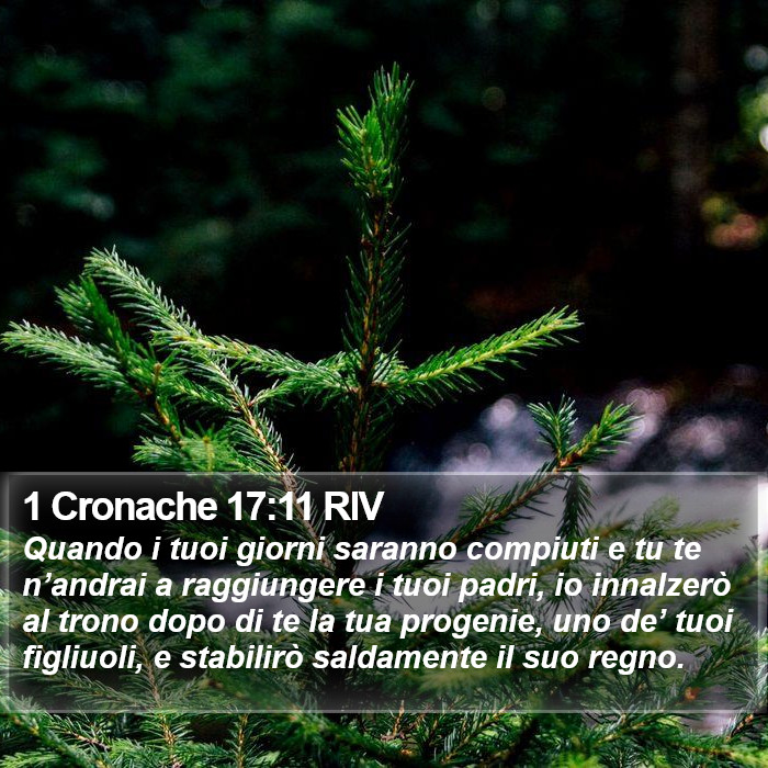 1 Cronache 17:11 RIV Bible Study