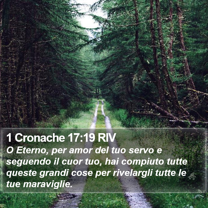 1 Cronache 17:19 RIV Bible Study