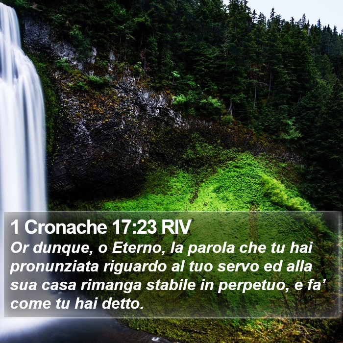 1 Cronache 17:23 RIV Bible Study