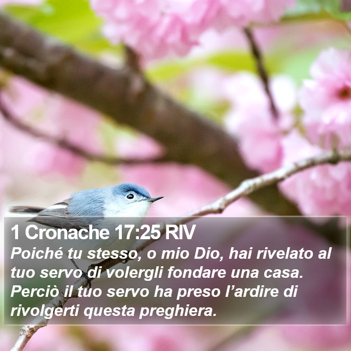 1 Cronache 17:25 RIV Bible Study