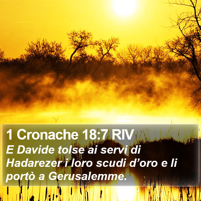 1 Cronache 18:7 RIV Bible Study