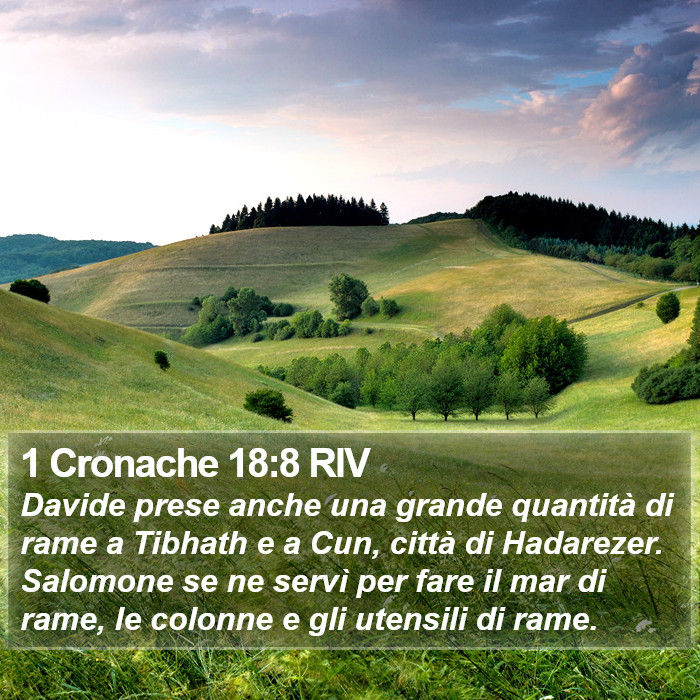 1 Cronache 18:8 RIV Bible Study