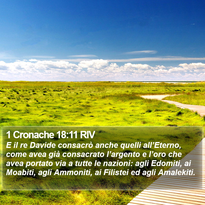 1 Cronache 18:11 RIV Bible Study