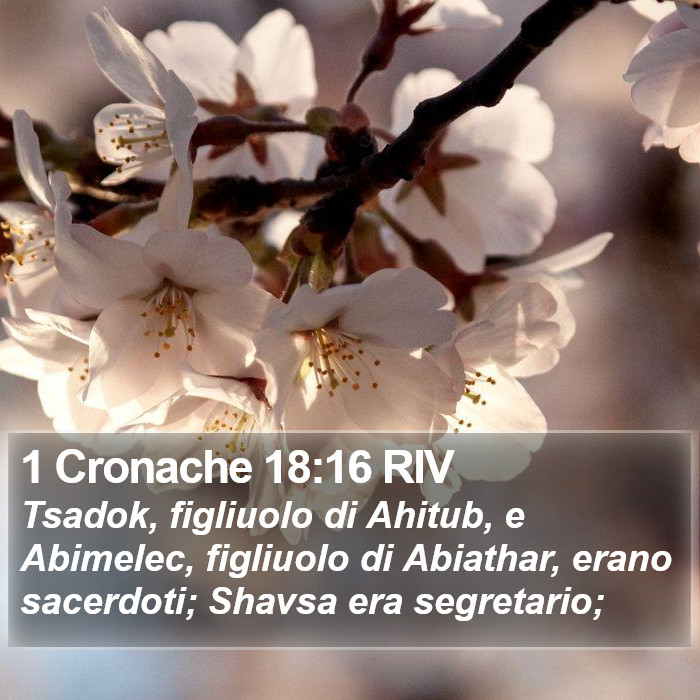 1 Cronache 18:16 RIV Bible Study