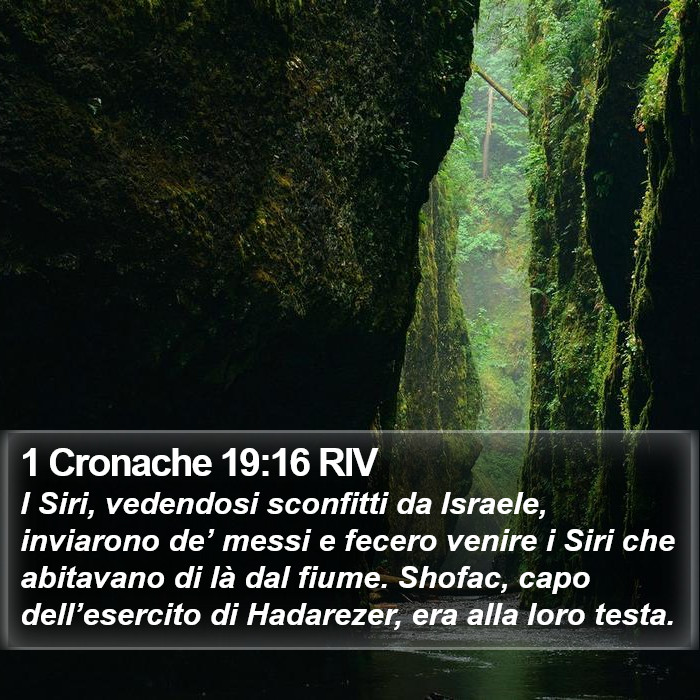 1 Cronache 19:16 RIV Bible Study