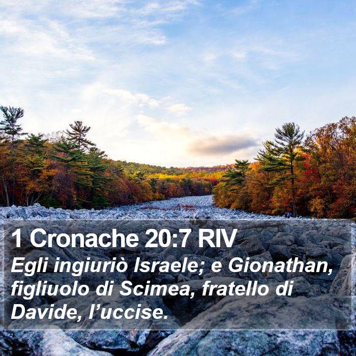 1 Cronache 20:7 RIV Bible Study