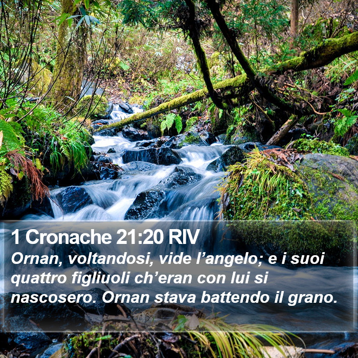 1 Cronache 21:20 RIV Bible Study