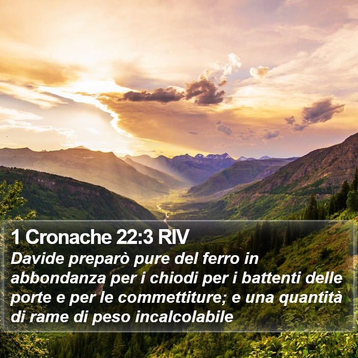 1 Cronache 22:3 RIV Bible Study