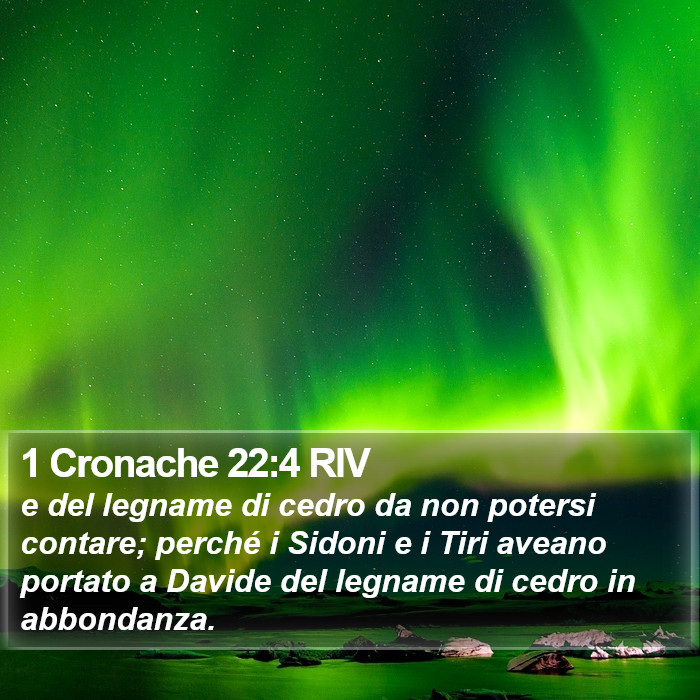 1 Cronache 22:4 RIV Bible Study