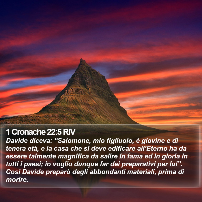 1 Cronache 22:5 RIV Bible Study