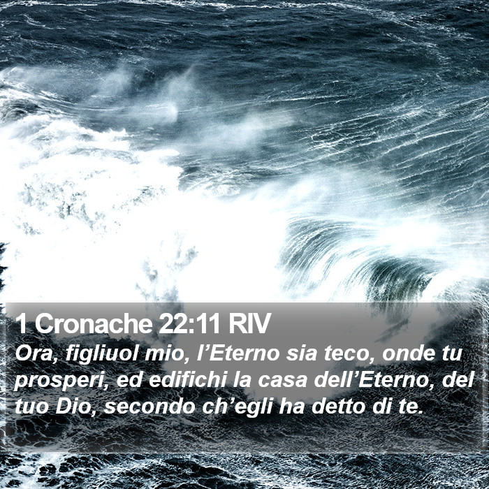 1 Cronache 22:11 RIV Bible Study