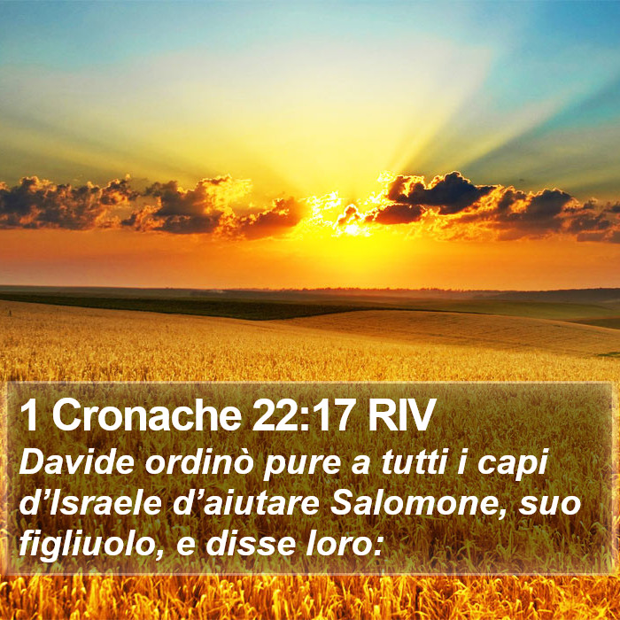 1 Cronache 22:17 RIV Bible Study