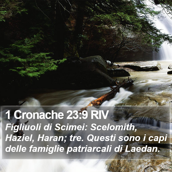 1 Cronache 23:9 RIV Bible Study