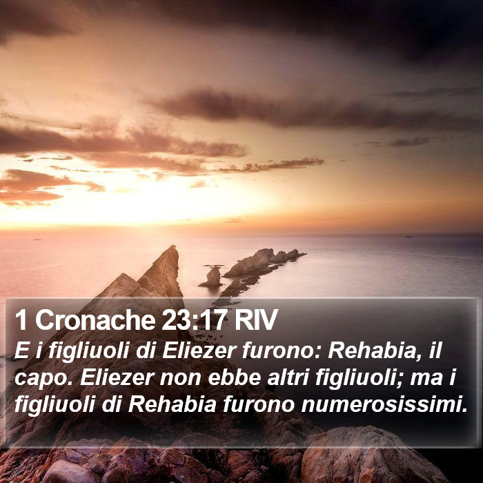 1 Cronache 23:17 RIV Bible Study