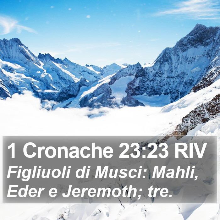 1 Cronache 23:23 RIV Bible Study