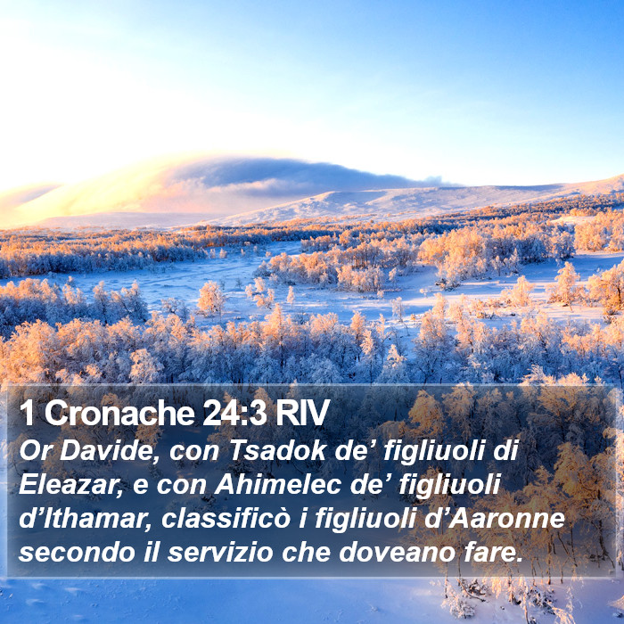 1 Cronache 24:3 RIV Bible Study