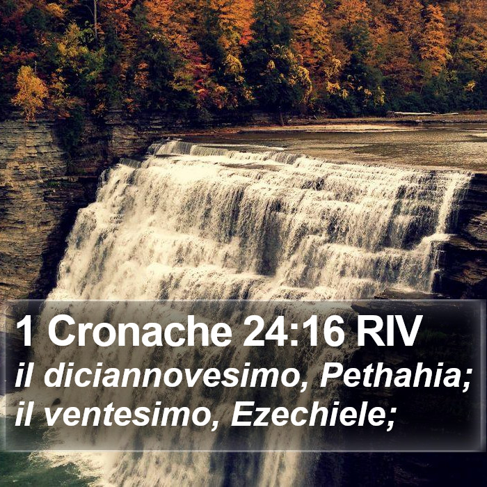 1 Cronache 24:16 RIV Bible Study