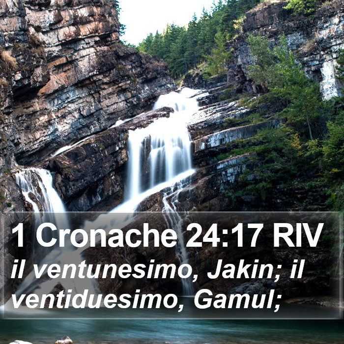 1 Cronache 24:17 RIV Bible Study