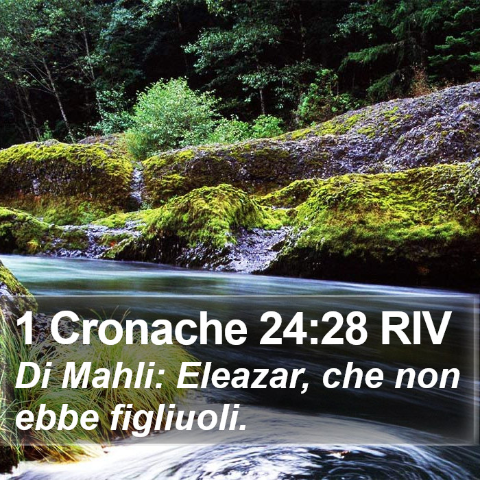 1 Cronache 24:28 RIV Bible Study