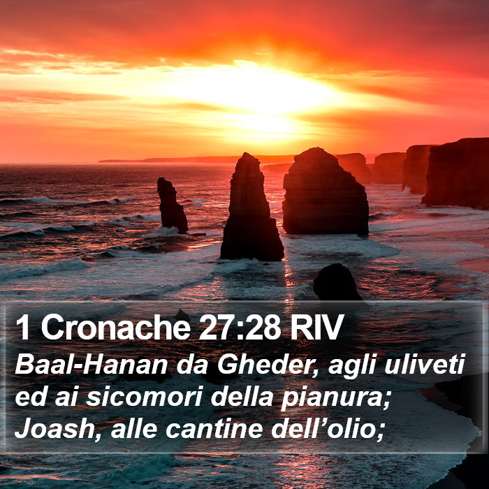 1 Cronache 27:28 RIV Bible Study