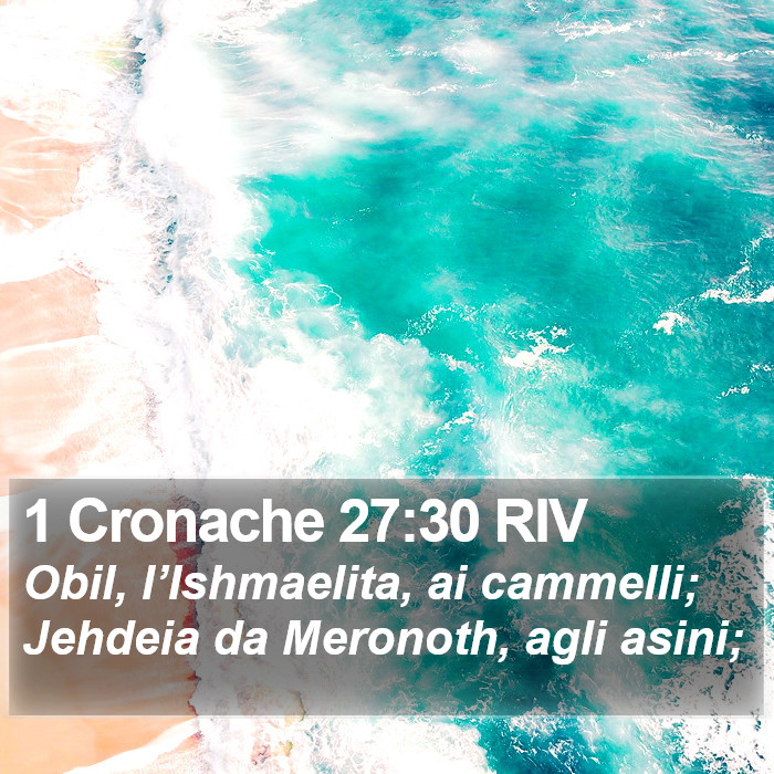 1 Cronache 27:30 RIV Bible Study