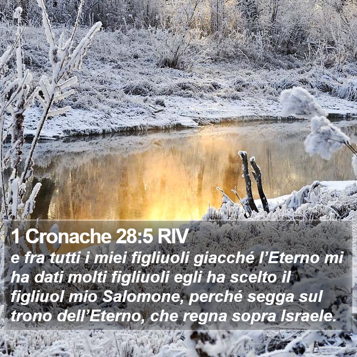 1 Cronache 28:5 RIV Bible Study