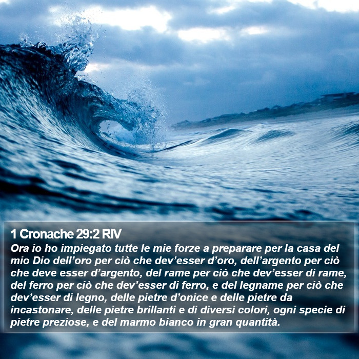 1 Cronache 29:2 RIV Bible Study