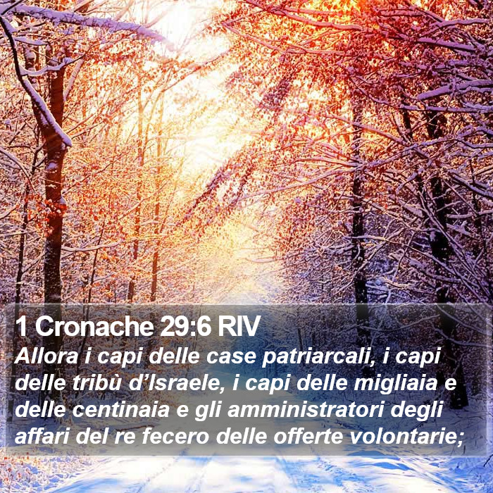 1 Cronache 29:6 RIV Bible Study