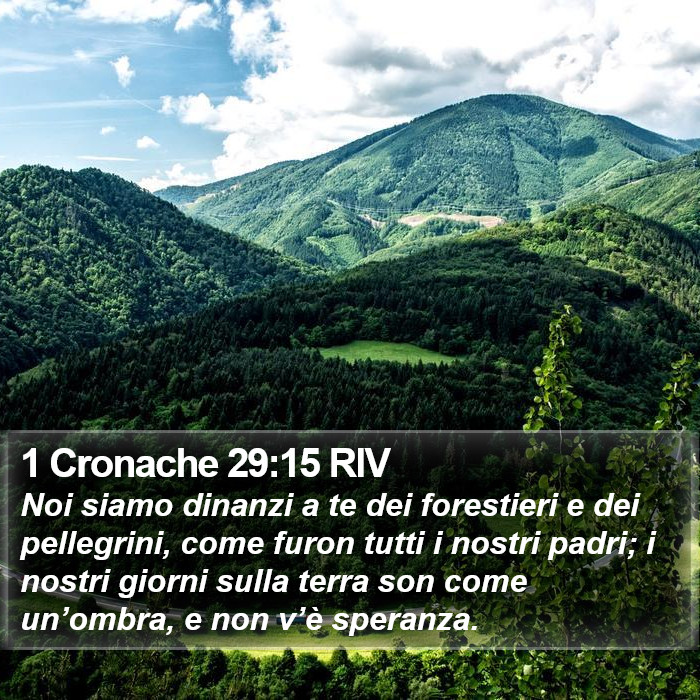 1 Cronache 29:15 RIV Bible Study