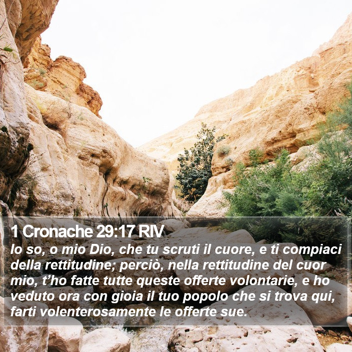 1 Cronache 29:17 RIV Bible Study