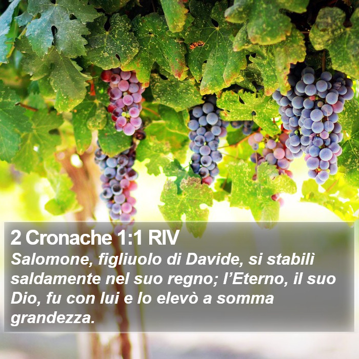 2 Cronache 1:1 RIV Bible Study