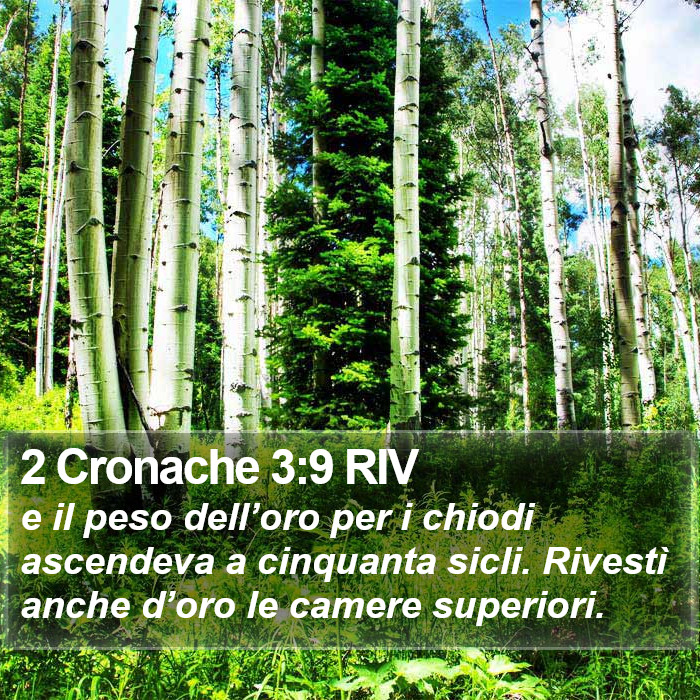 2 Cronache 3:9 RIV Bible Study