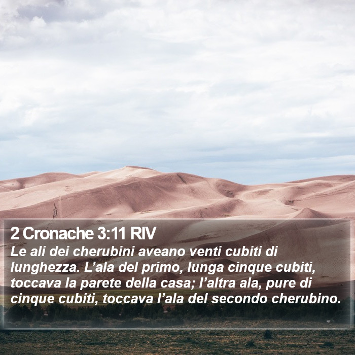 2 Cronache 3:11 RIV Bible Study