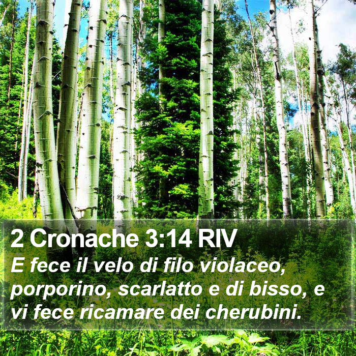 2 Cronache 3:14 RIV Bible Study