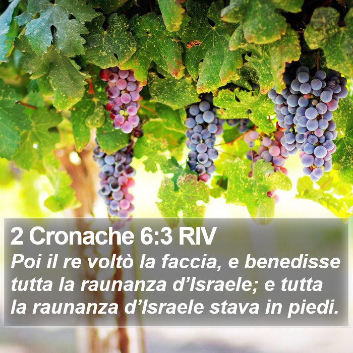 2 Cronache 6:3 RIV Bible Study