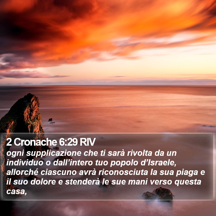 2 Cronache 6:29 RIV Bible Study