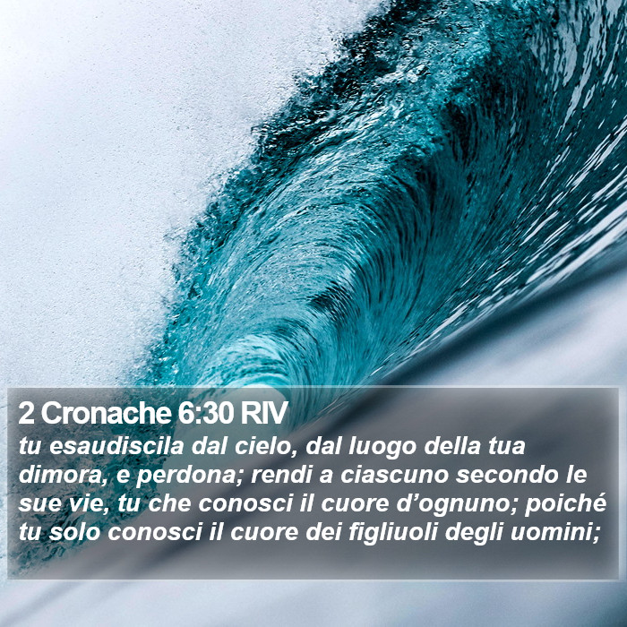 2 Cronache 6:30 RIV Bible Study