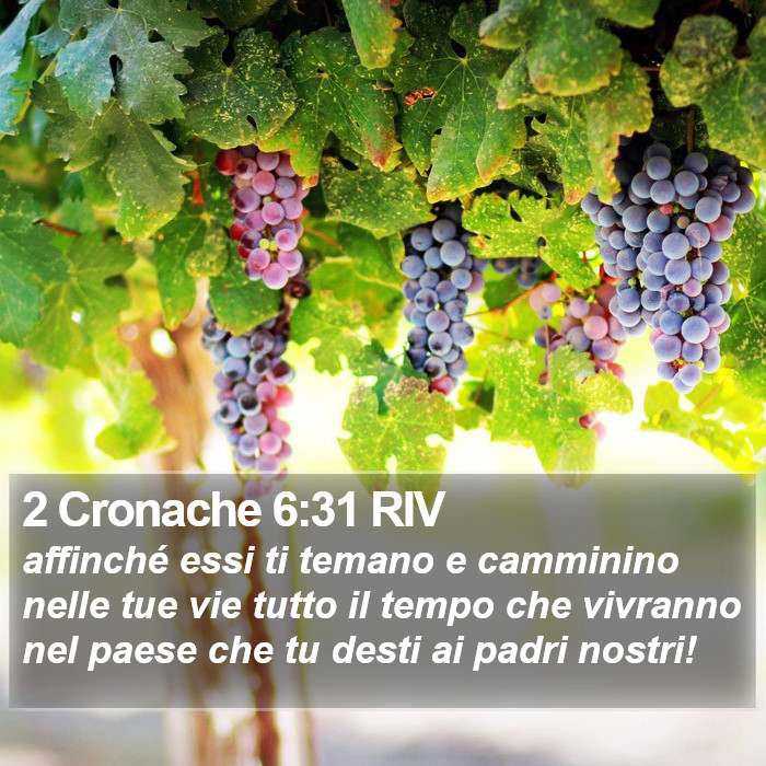 2 Cronache 6:31 RIV Bible Study