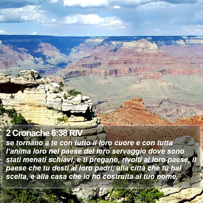 2 Cronache 6:38 RIV Bible Study