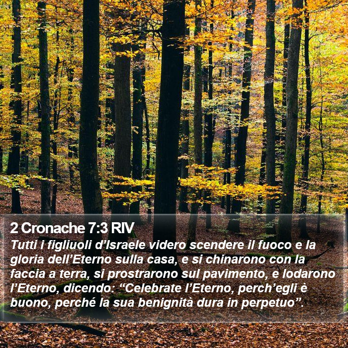 2 Cronache 7:3 RIV Bible Study