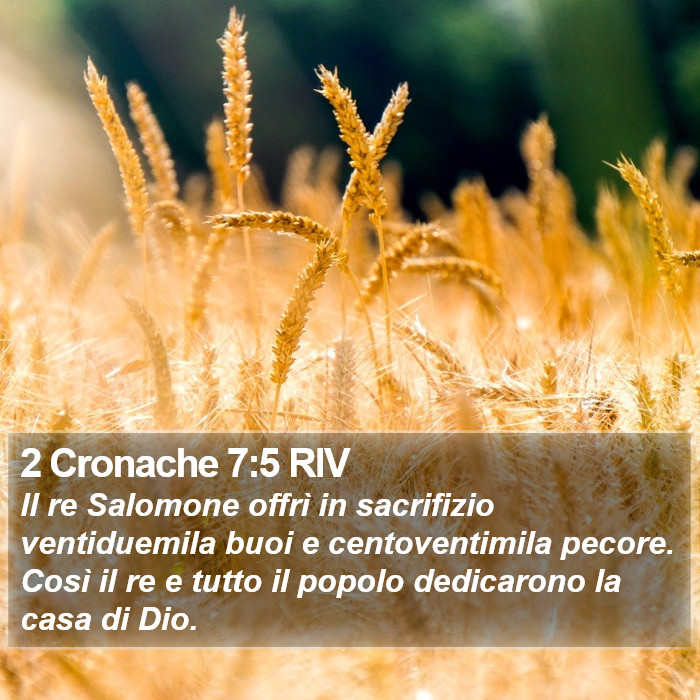 2 Cronache 7:5 RIV Bible Study