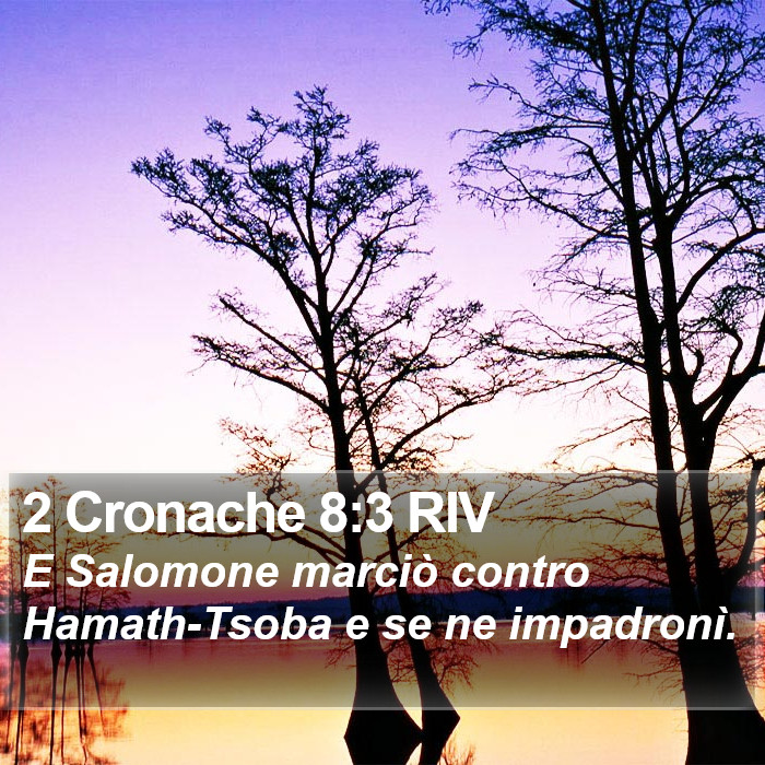 2 Cronache 8:3 RIV Bible Study