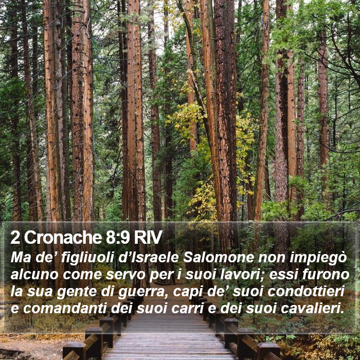 2 Cronache 8:9 RIV Bible Study