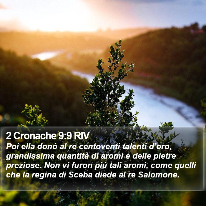 2 Cronache 9:9 RIV Bible Study