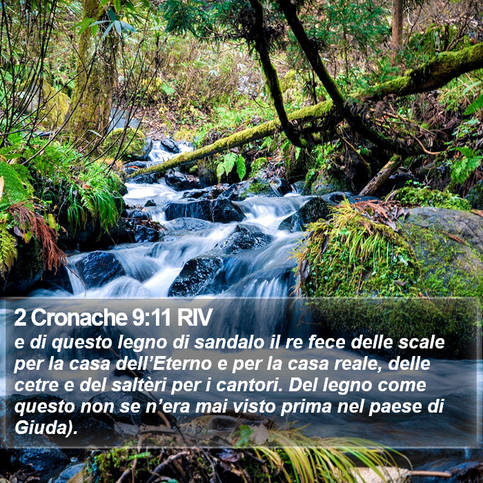 2 Cronache 9:11 RIV Bible Study