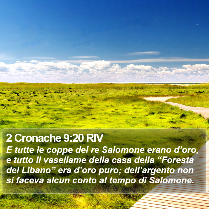 2 Cronache 9:20 RIV Bible Study