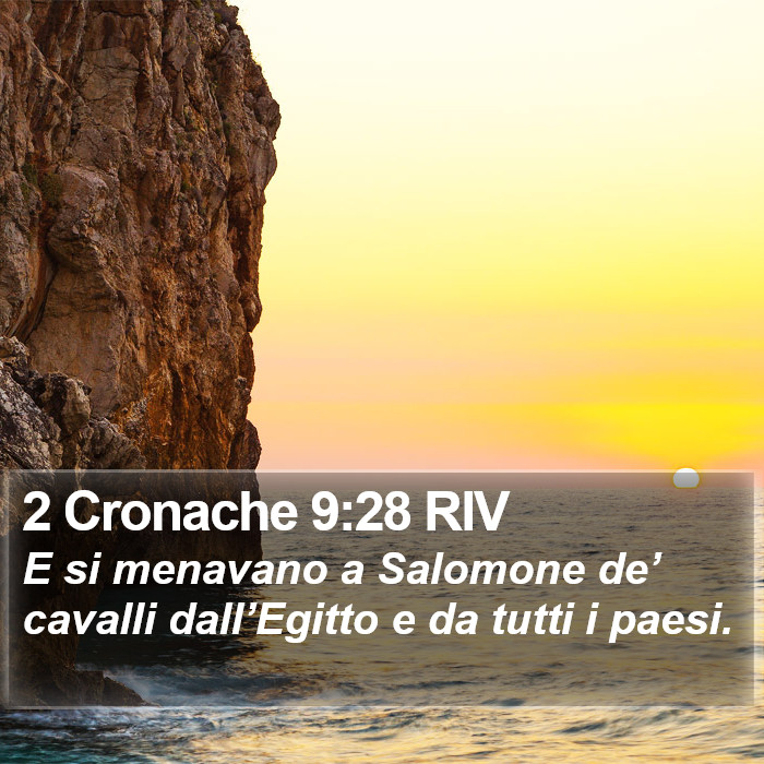 2 Cronache 9:28 RIV Bible Study